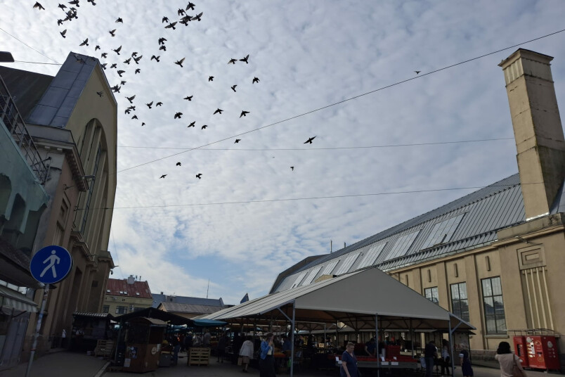 Foto: Kristīne Marijevska.