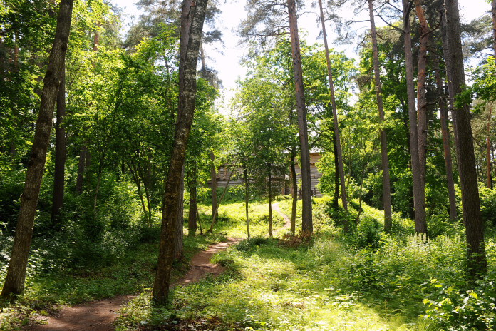 Tērvetes dabas parks.
Autore: Ieva Lūka