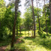 Tērvetes dabas parks.
Autore: Ieva Lūka