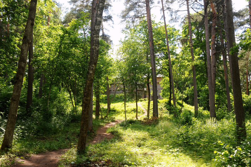 Tērvetes dabas parks.
Autore: Ieva Lūka