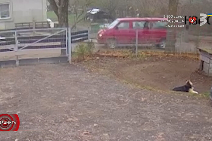 “Mani laikam gribēja nolaupīt.” Ja redzi sarkano busiņu, ziņo.