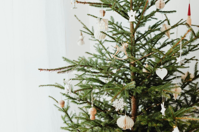 Minimālisms, mežģīnes un dabas akcenti