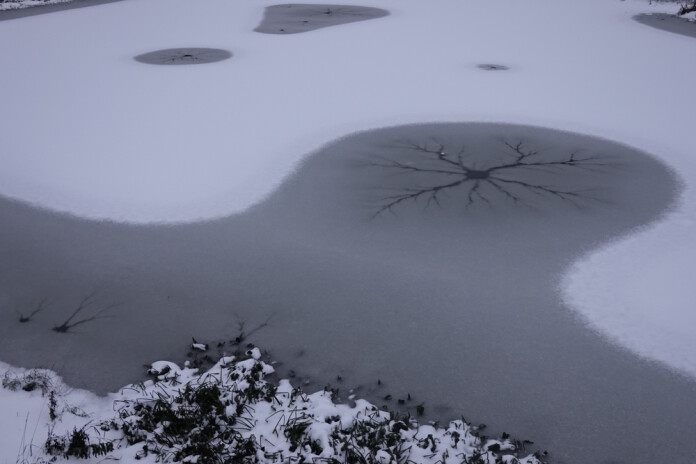 Ropažu pagastā piemājas dīķī noslīkusi meitene