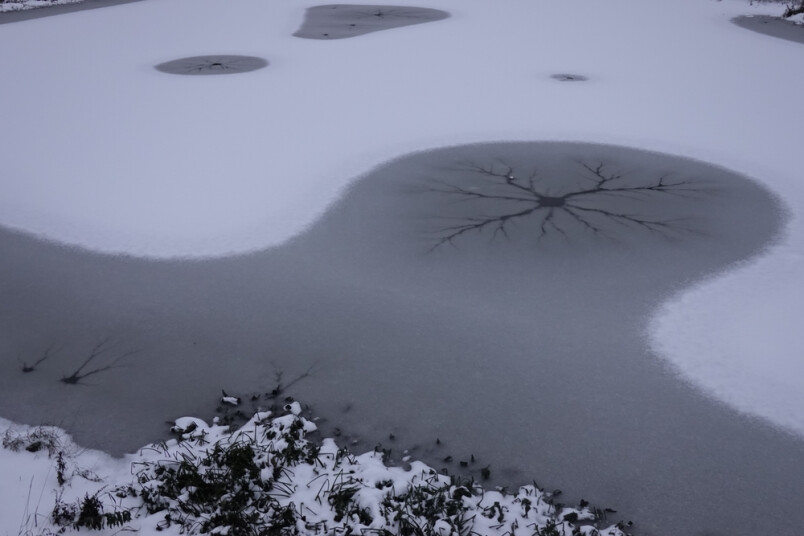 Ropažu pagastā piemājas dīķī noslīkusi meitene