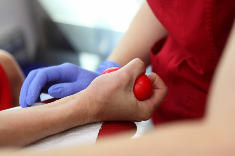 Foto: Lita Millere, LETA