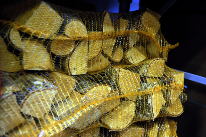 Bērza malka. Autore: Evija Trifanova