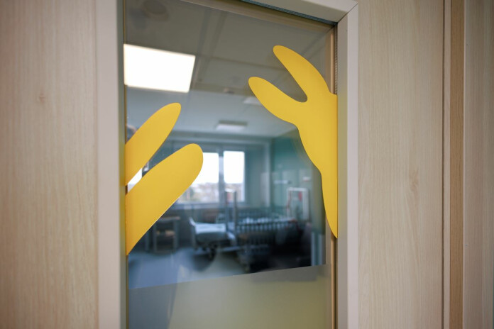 5. nodaļas jaukie zaķīši