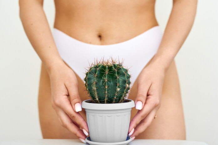 Kāds sieviešu intīmais apmatojums labāk patīk vīriešiem