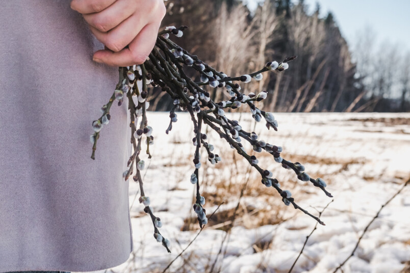 Brīvdienās gaidāms patīkams laiks