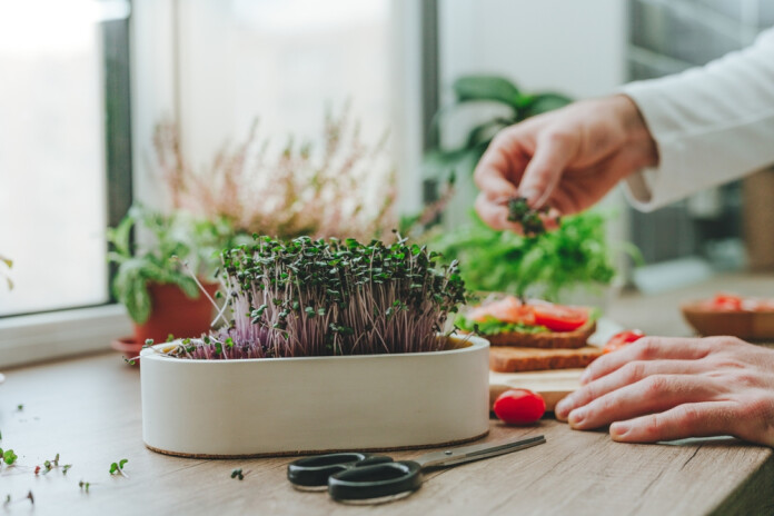 Tieši pirmie pavasara dārzeņi kļūst par nozīmīgu atbalstu organisma atjaunošanās procesā.