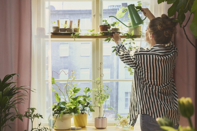 Idejas pavasara stādu integrēšanai interjerā