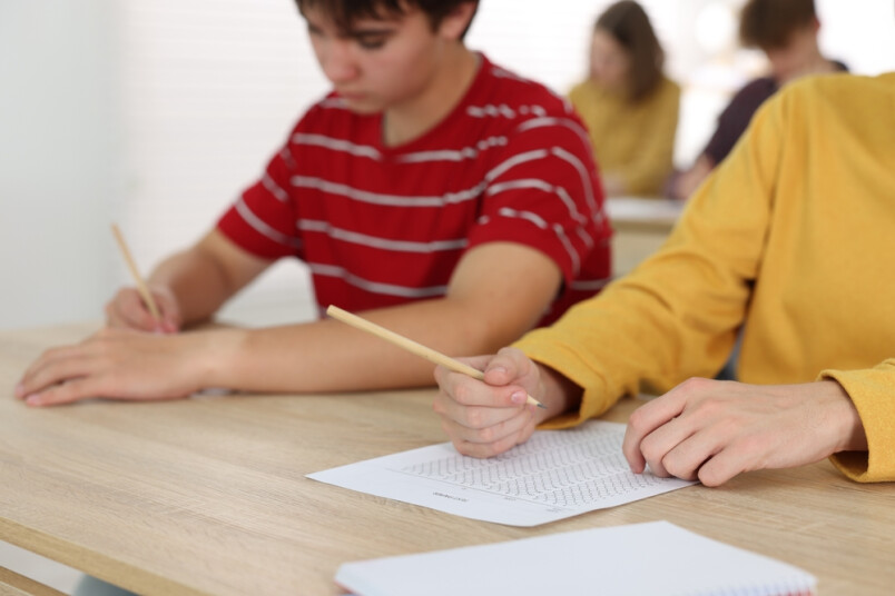 Atbalsts pirms pārbaudes darbiem