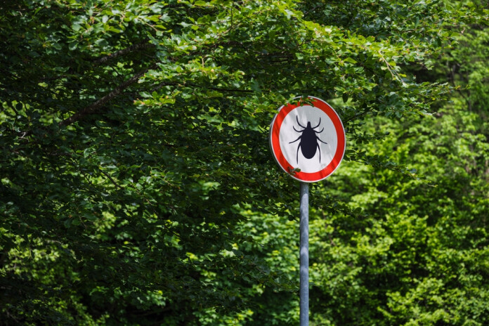 Šogad gaidāma aktīva ērču sezona – vienlaikus vakcinācijas apjoms samazinājies par teju 20%