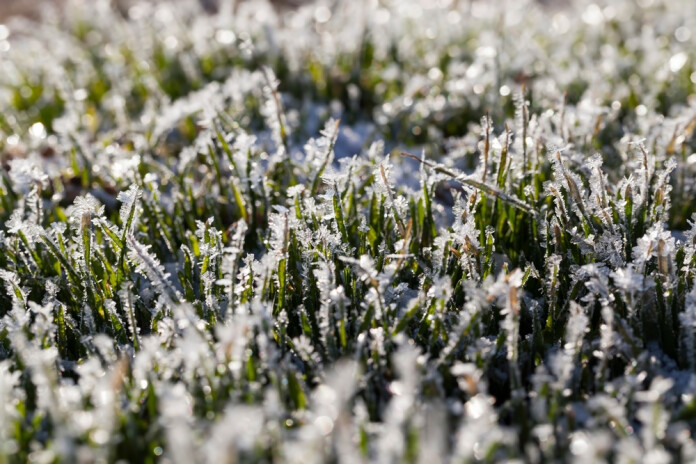 Pavasaris aizkavēsies