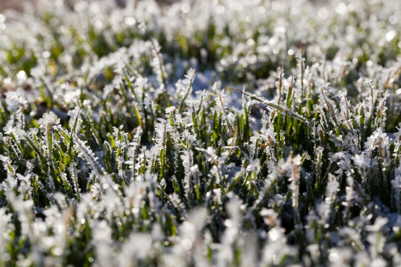 Pavasaris aizkavēsies