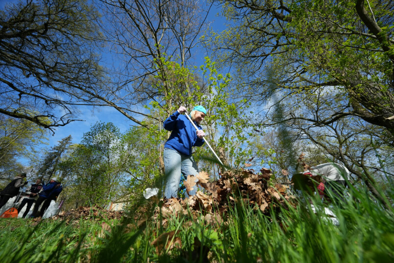Edijs Pālens. Lielā talka