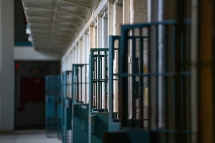 Gleznotājam Pēterim Postažam piespriež bargu cietumsodu