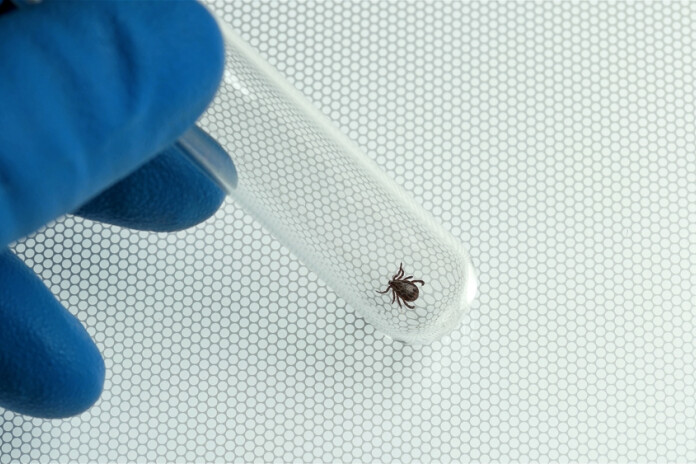 Bērniem līdz 3 gadiem pieejama bezmaksas vakcinācija pret ērču encefalītu.