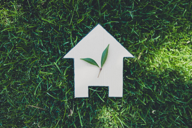 Kā palīdzēt videi, labiekārtojot savu dzīves telpu