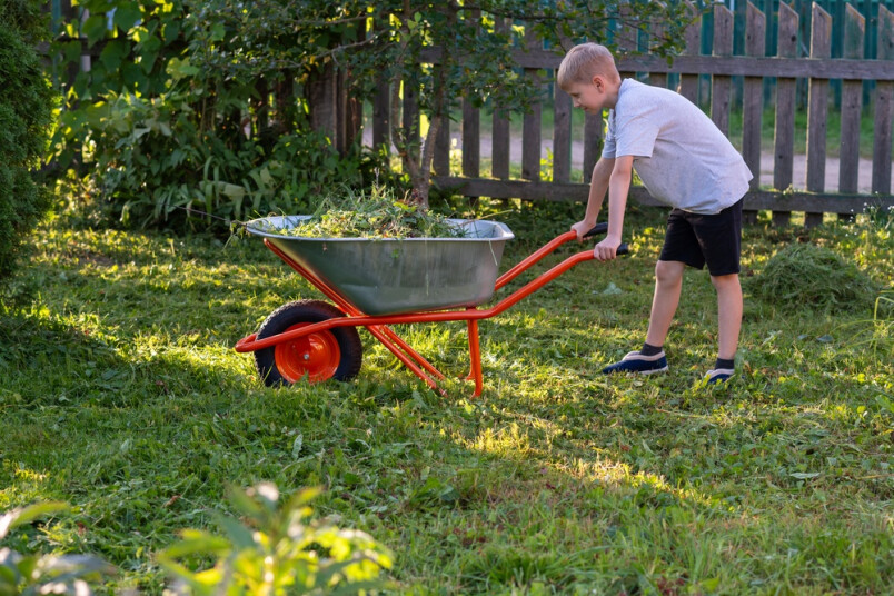 Skolēnu vasaras nodarbinātība