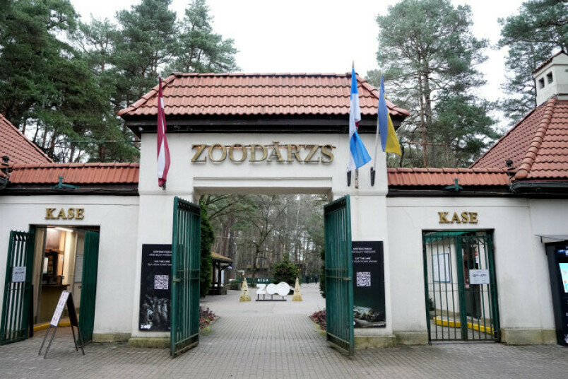 Daudzbērnu ģimenes diena Rīgas ZOO. Foto: Zane Bitere