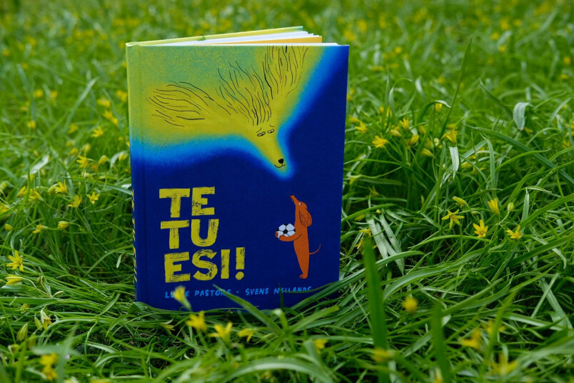 Kā runāt ar bērnu par sērām. Foto: LSM