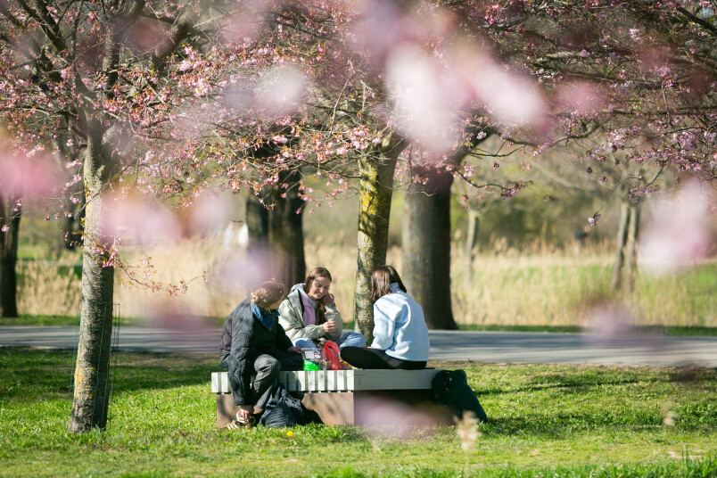 Juris Rozenbergs. Uzvaras parks Rīgā