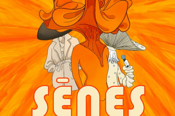 Mūzikas albums Sēnes