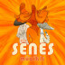 Mūzikas albums Sēnes