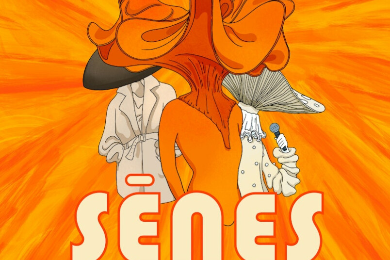 Mūzikas albums Sēnes