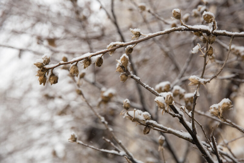 Sniegs un lietus - tādu sola nedēļas pēdējo nogali. 