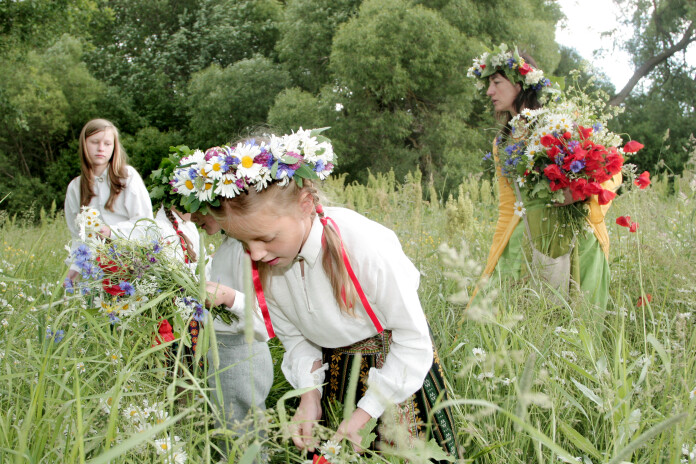 Jāņu zāles. Foto: Rojs Maizītis