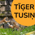 Ballīte Rīgas ZOO