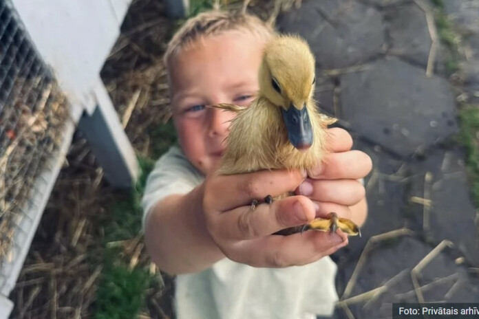 Jēkābs no Mini Zoo Karlīnas