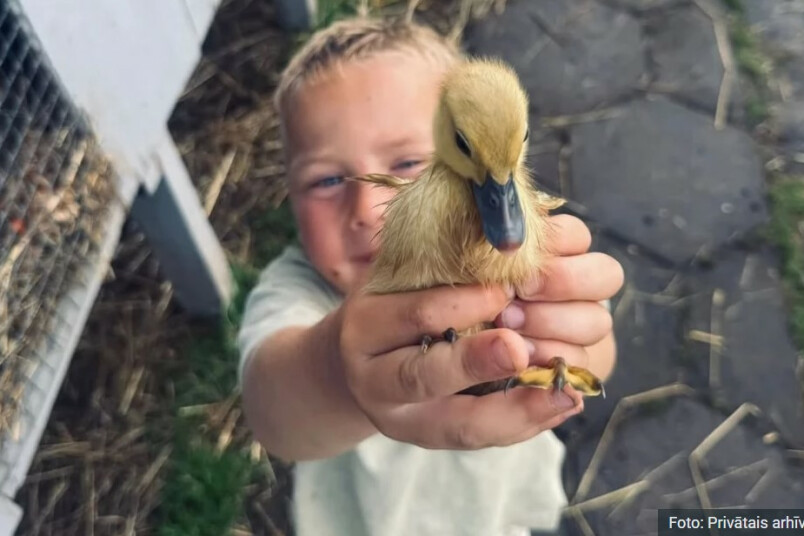 Jēkābs no Mini Zoo Karlīnas