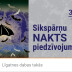 Sikspārņu nakts piedzīvojums