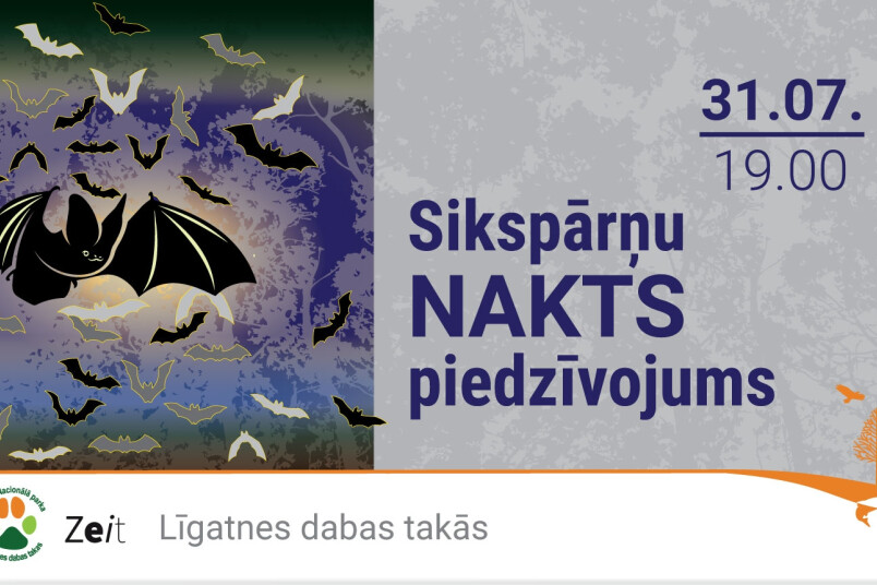 Sikspārņu nakts piedzīvojums