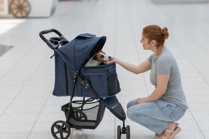 Vai ir veselīgi mājdzīvniekus uztvert kā savus bērnus