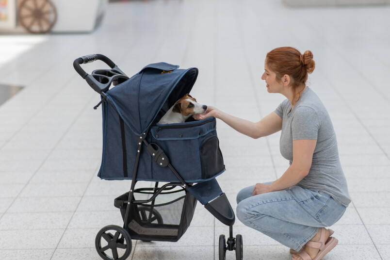Vai ir veselīgi mājdzīvniekus uztvert kā savus bērnus