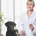 Anu Poopū, Vilde tee veterinārās klīnikas veterināre. Publicitātes foto. 