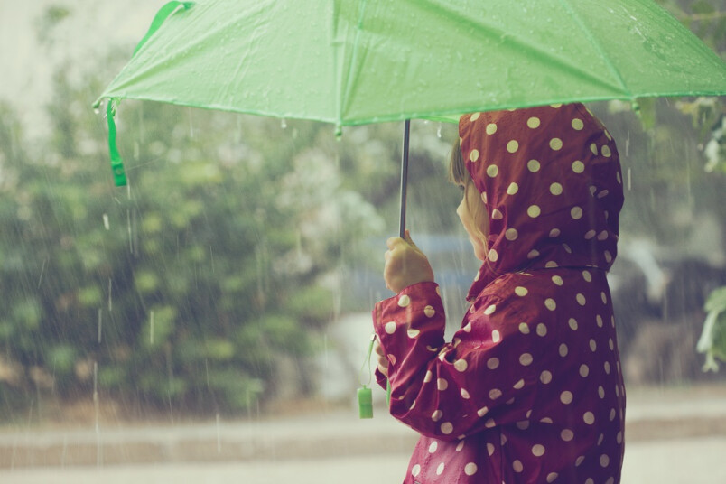 Iepriekšējos gadalaikos būtiskākās laika apstākļu iezīmes AccuWeather prognozēja samērā precīzi. Šo pavasari prognozējot garu, ar sniegu vēl aprīlī, kas arī piepildījās. Ziemu šī organizācija Baltijā paredzēja siltāku par klimatisko normu, taču nepiepildījās prognoze, ka aukstuma vilnis sagaidāms ziemas beigās, tas Baltiju piemeklēja janvāra pirmajā pusē un vidū. 